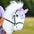 Hobby Horse Fliegenhaube IRHFree Spirit