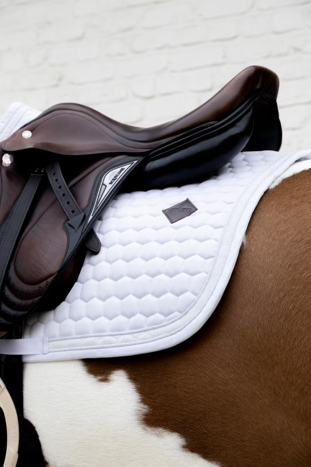 Glitter Band Schabracke