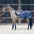 Ausreitdecke Quadrat All Weather
