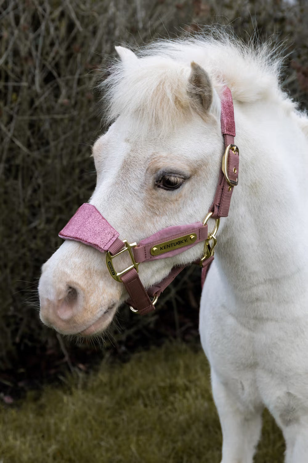Velvet Halfter Unicorn Glitter
