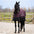 Outdoordecke HVPEssential 100gr