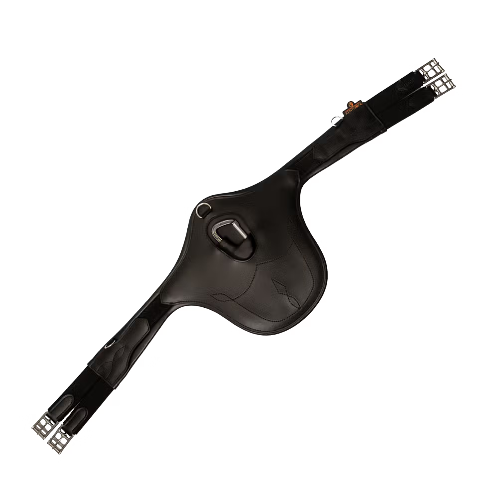 Anatomischer Stollengurt