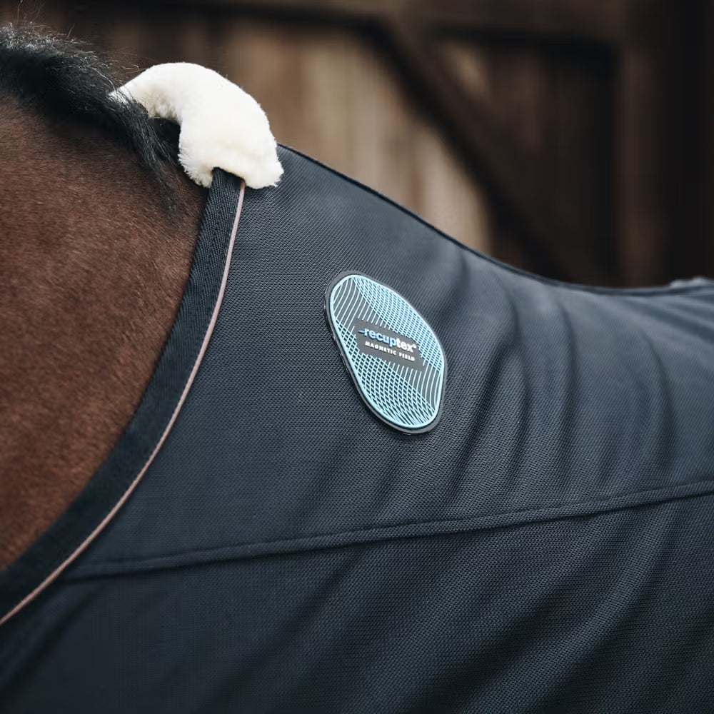 Magnetic Rug Recuptex