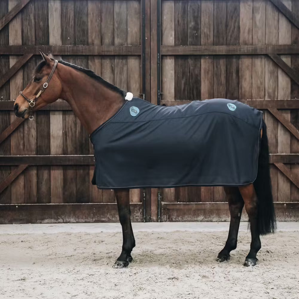 Magnetic Rug Recuptex