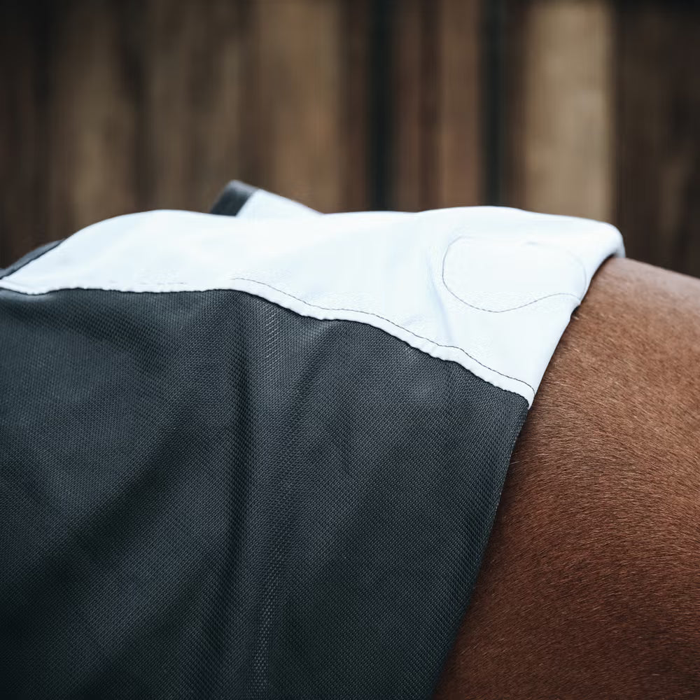 Magnetic Rug Recuptex