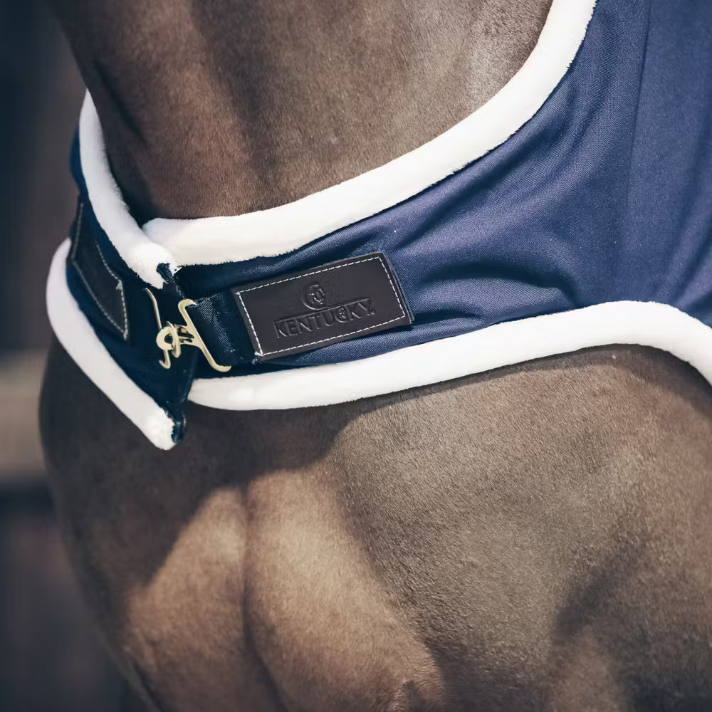 Walker Rug Waterproof