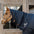 Halsteil wasserdicht All Weather Comfort 200gr
