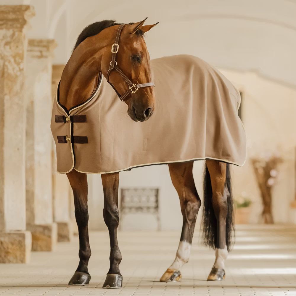 Abschwitzdecke Show Vegan Wool