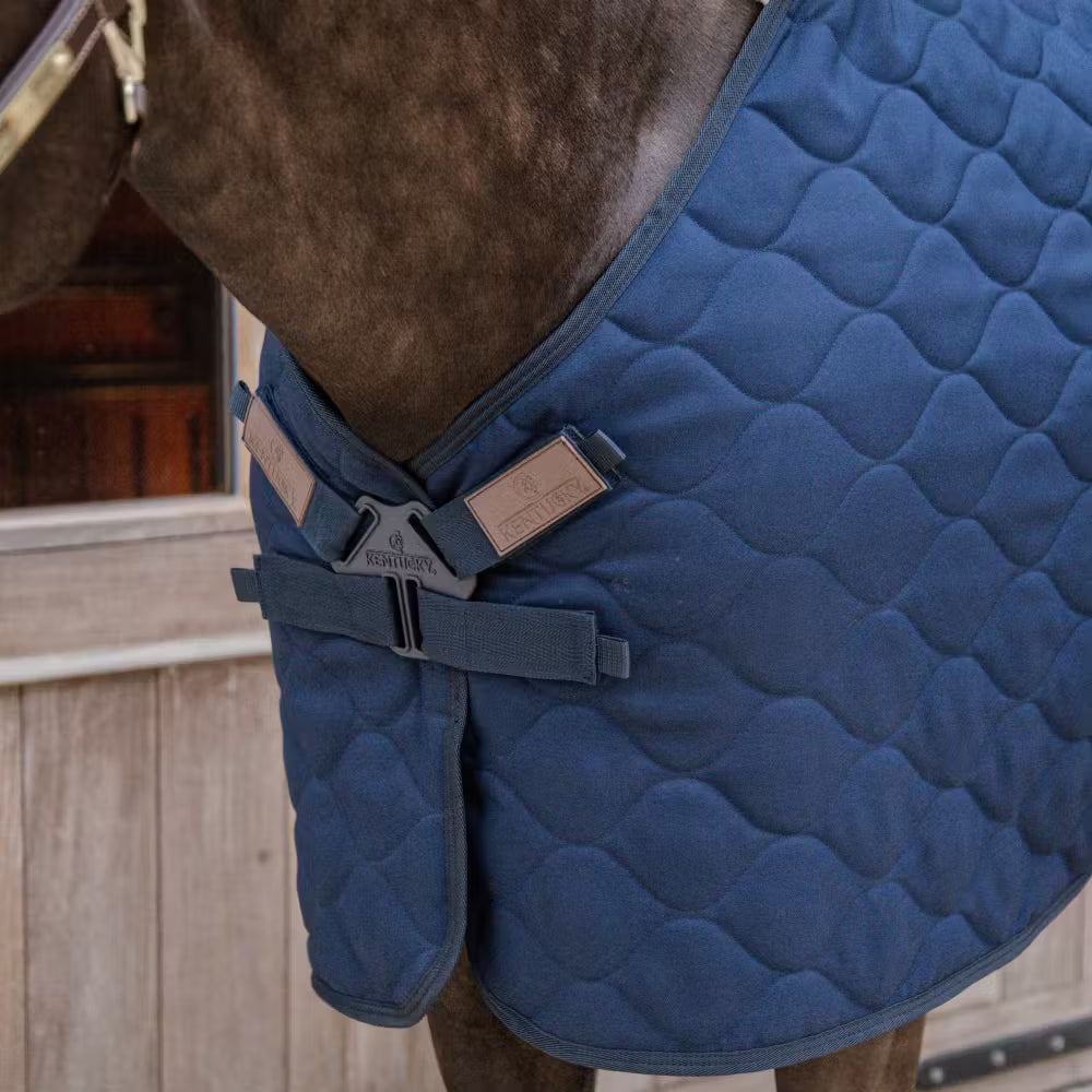 Stalldecke Comfort 100gr