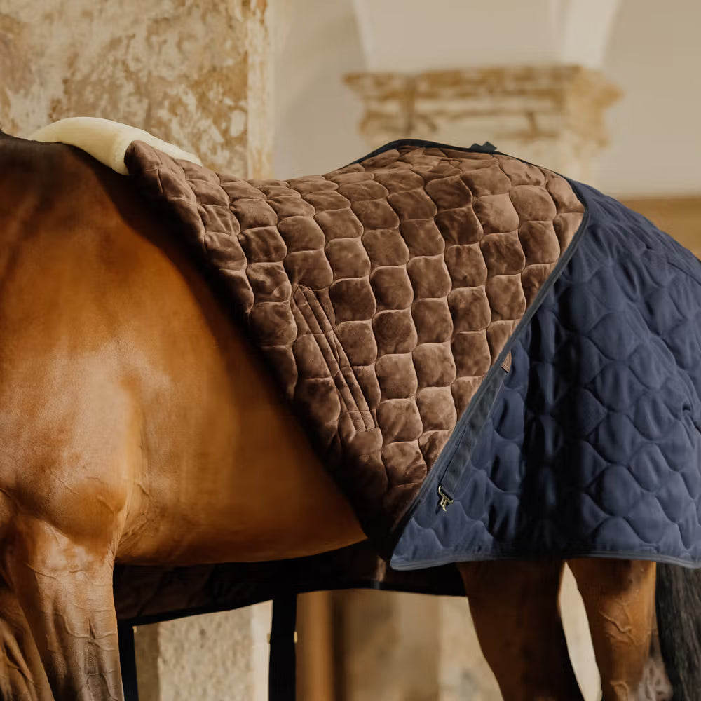 Stalldecke Comfort 100gr