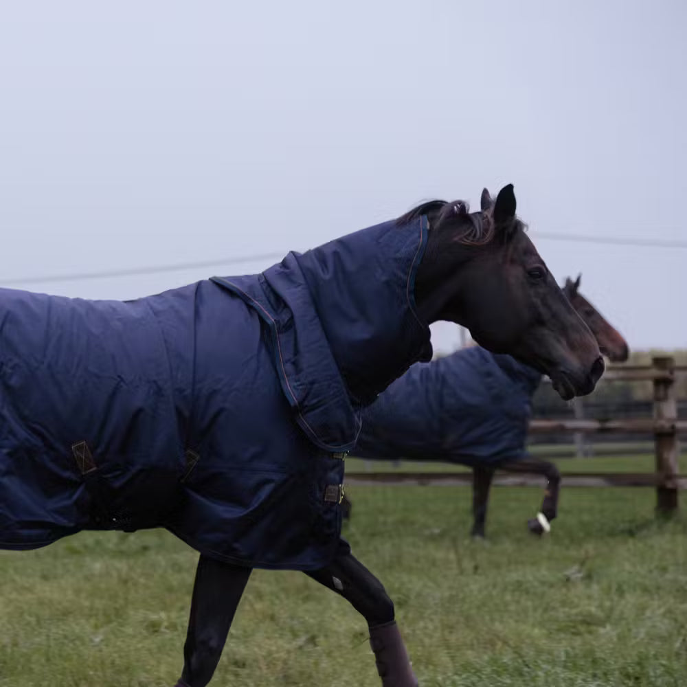 Weidedecke All Weather Wasserdichte Pro