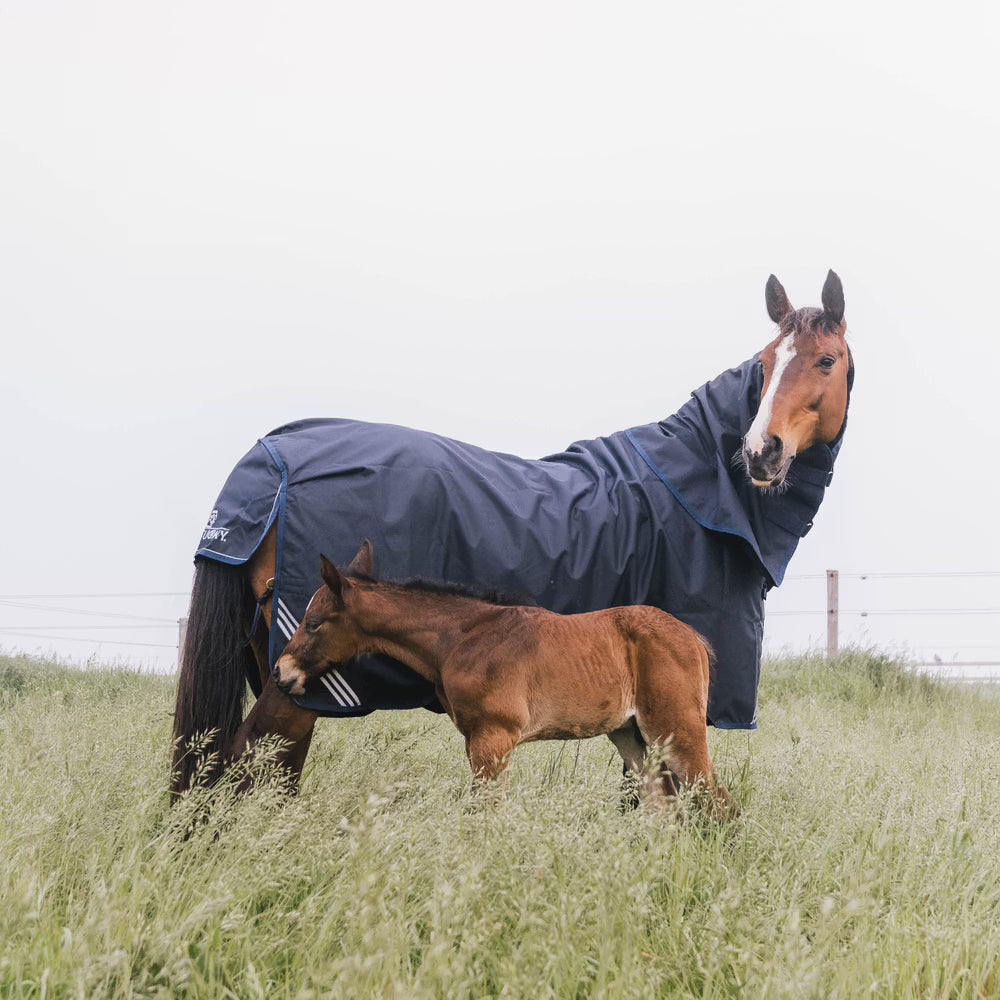 Weidedecke All Weather Waterproof Comfort 0gr