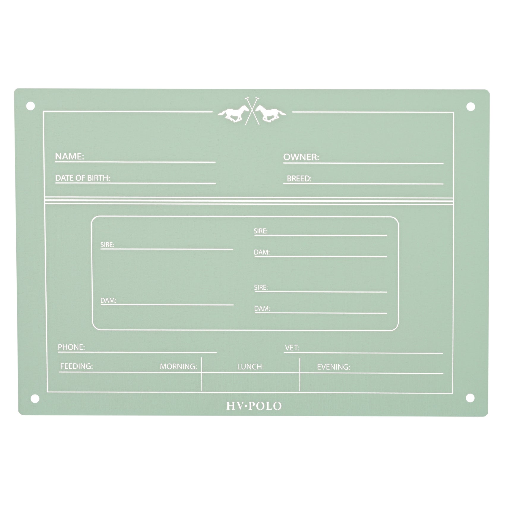 Boxenschild English HVPPolo