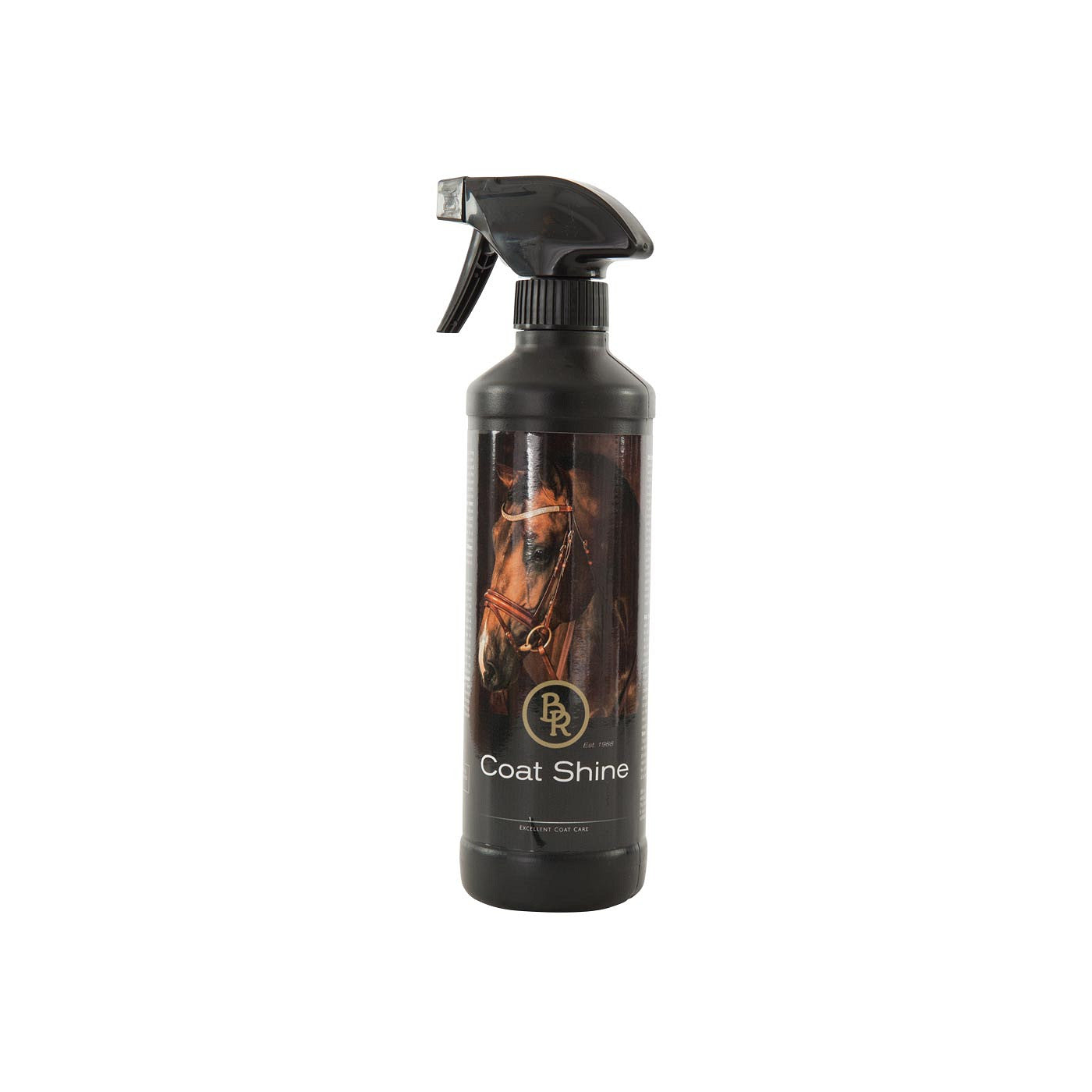BR Coat Shine 500 ml VE6