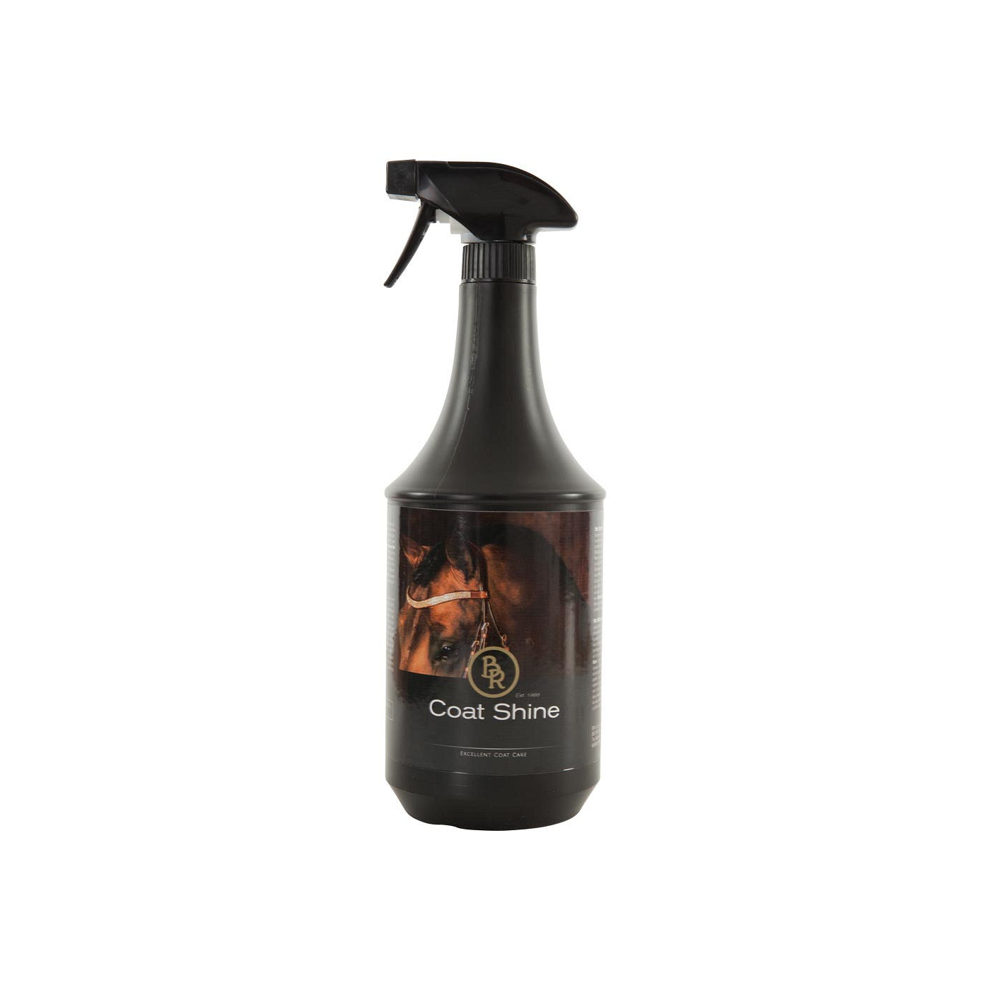 BR Coat Shine 1000 ml VE6