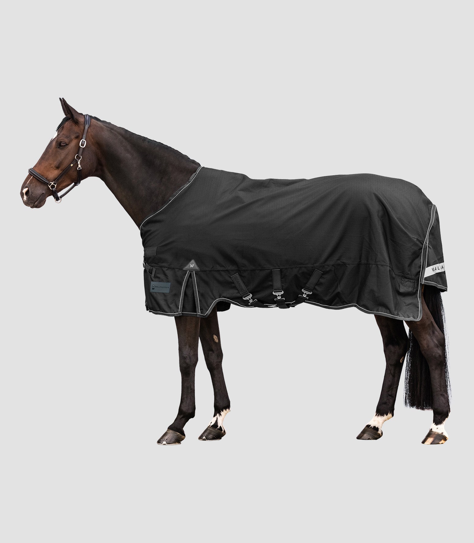 SCANDIC Outdoordecke, Light