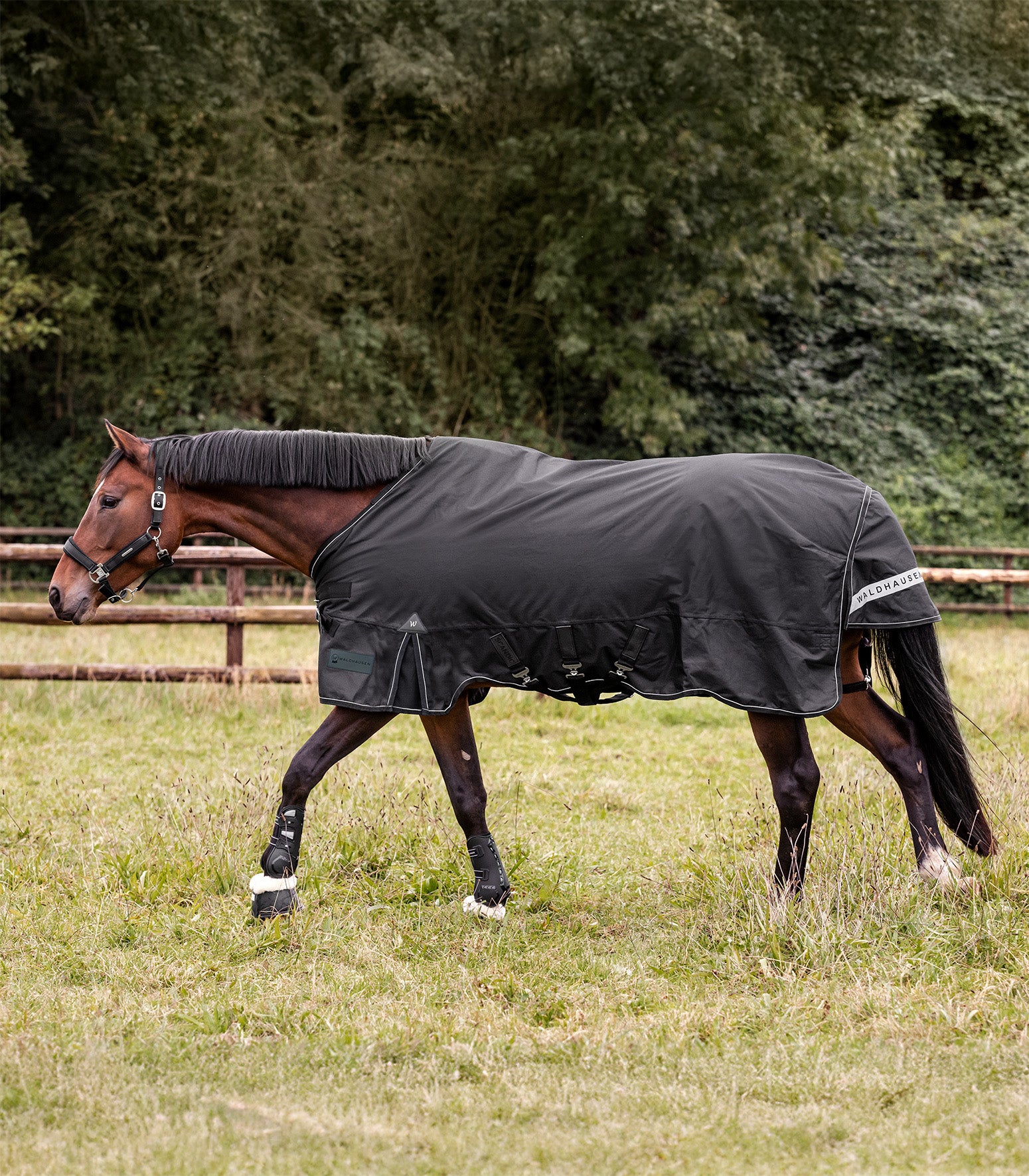 SCANDIC Outdoordecke, Light