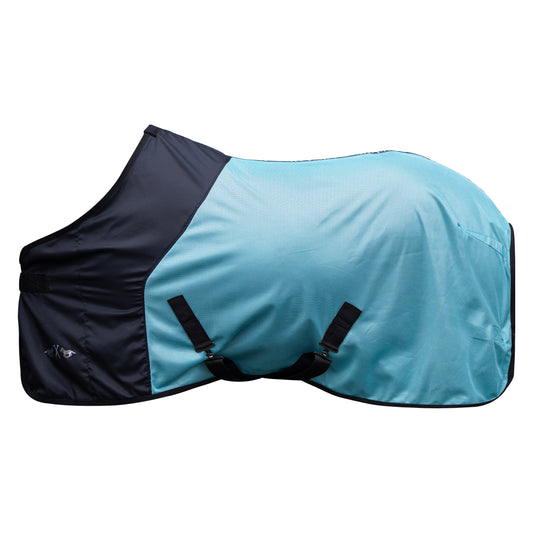 Fliegendecke HVPSacha