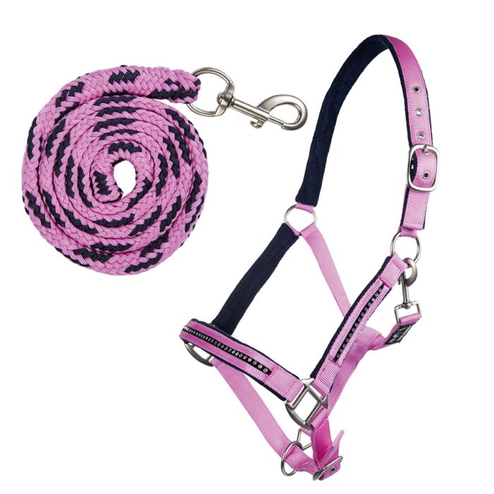 Halfterset mit Karabiner - Crystal - weich unterlegt