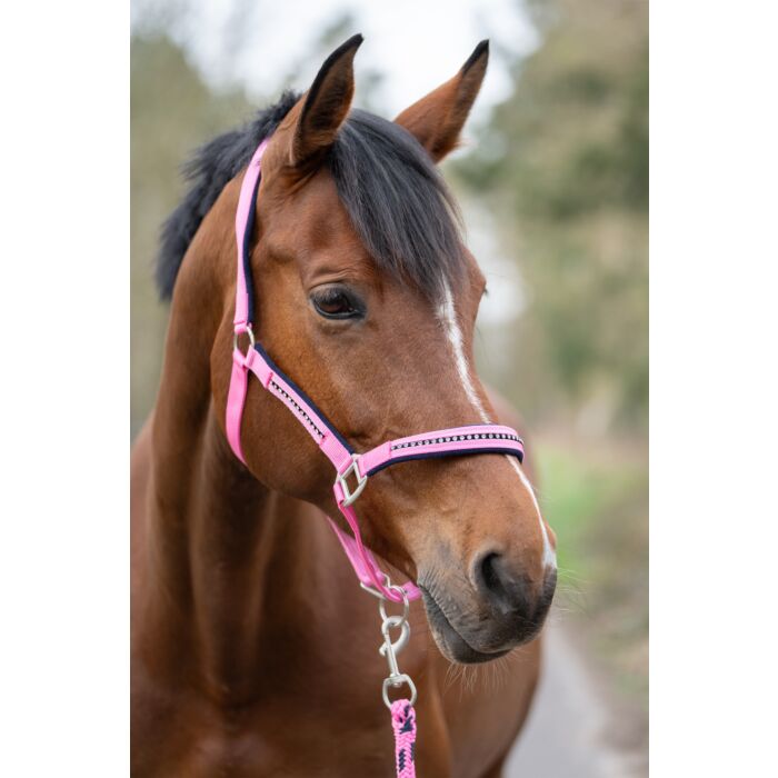 Halfterset mit Karabiner - Crystal - weich unterlegt