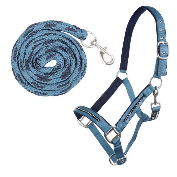 Halfterset mit Karabiner - Crystal - weich unterlegt