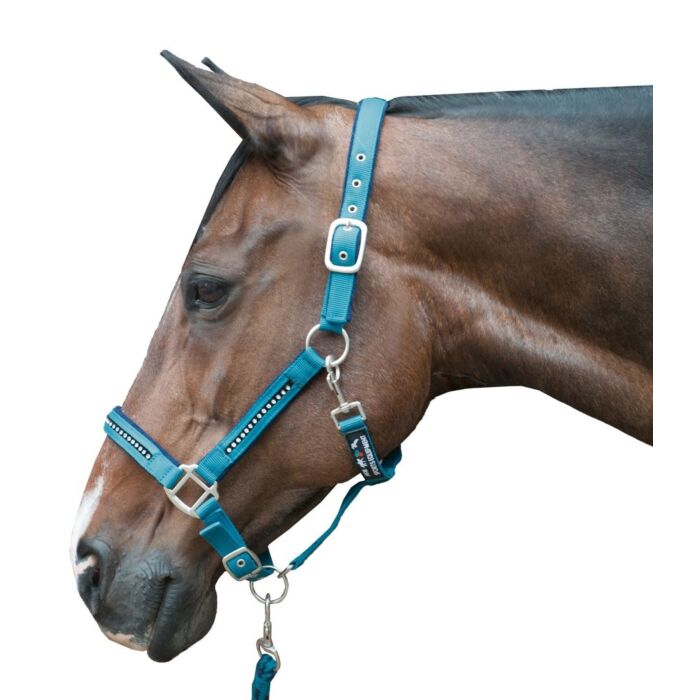 Halfterset mit Karabiner - Crystal - weich unterlegt