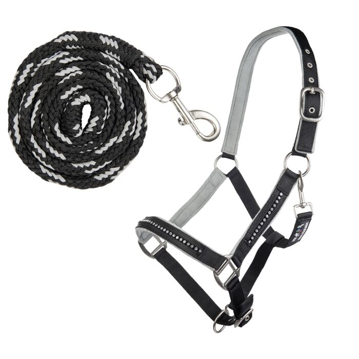 Halfterset mit Karabiner - Crystal - weich unterlegt