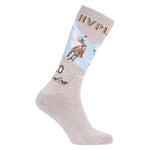Socken HVPHarper polo club