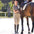 Reitlegging IRHLisam AOP FullGrip