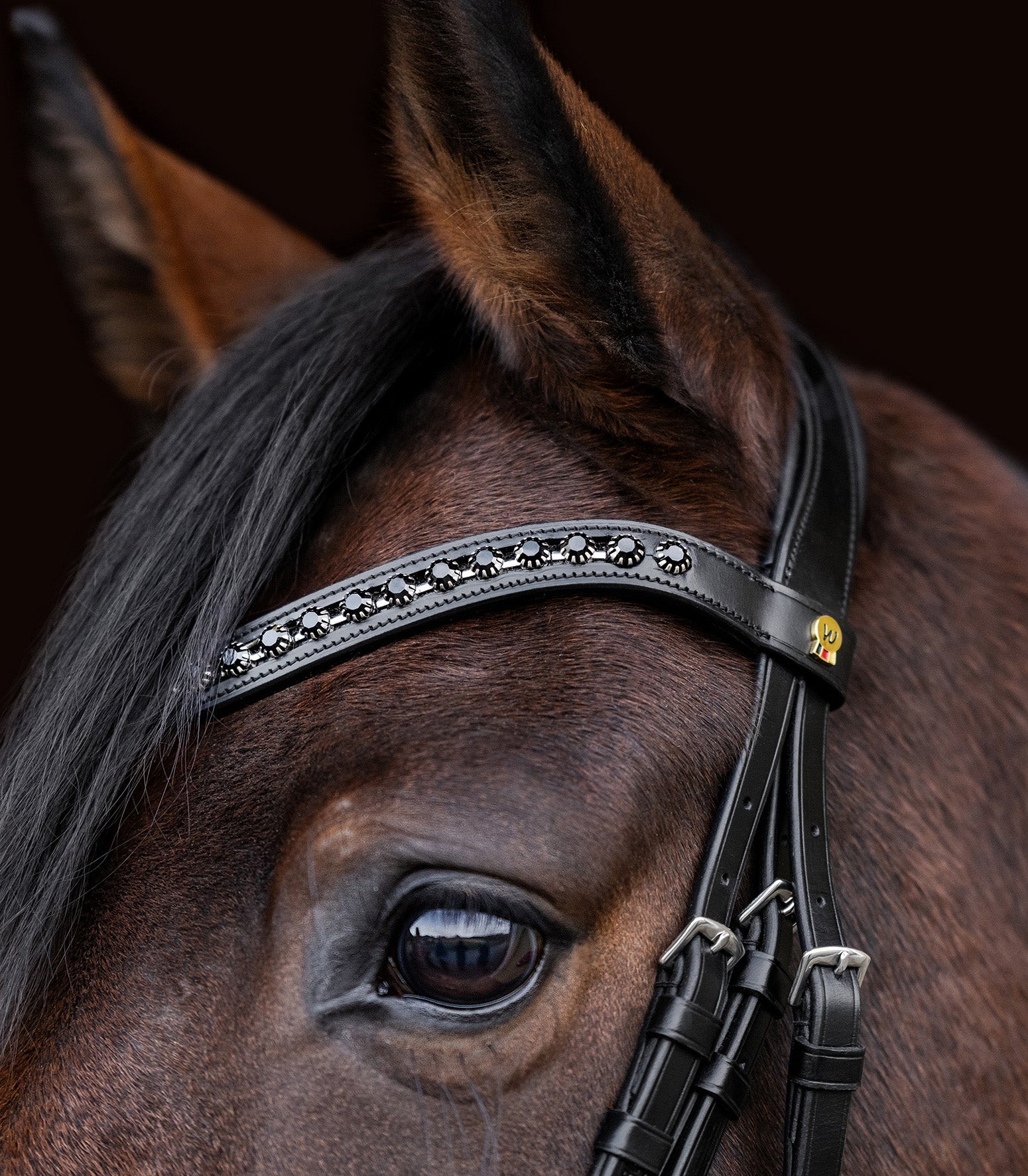 Waldhausen S-Line Lacktrensenzaum Blackshine'