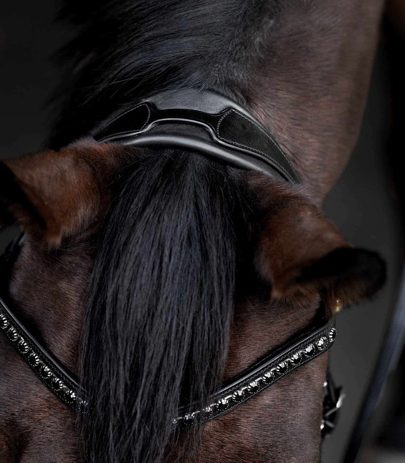 Waldhausen S-Line Lacktrensenzaum Blackshine'