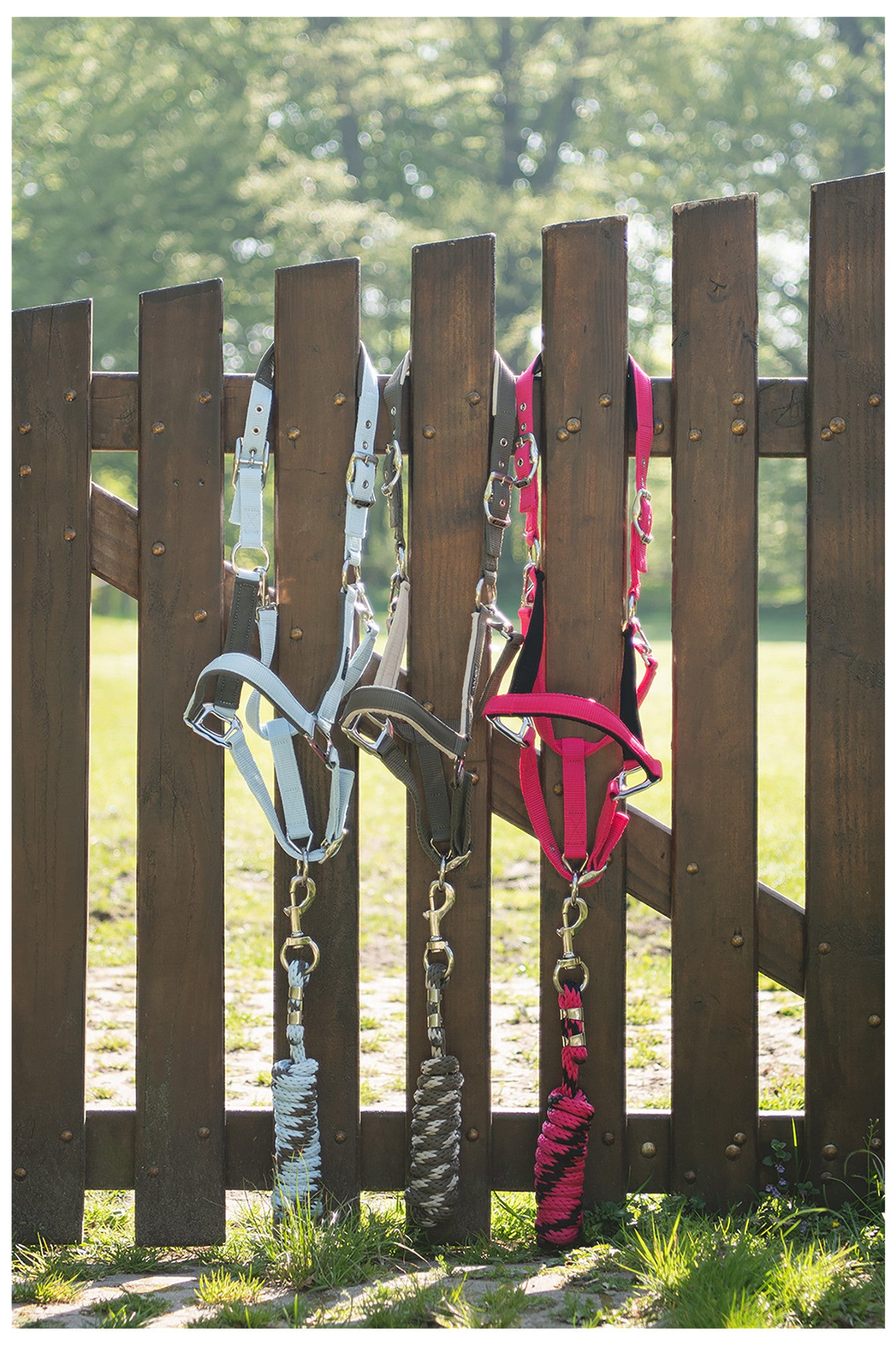 ANKY® Halter & Lead Rope