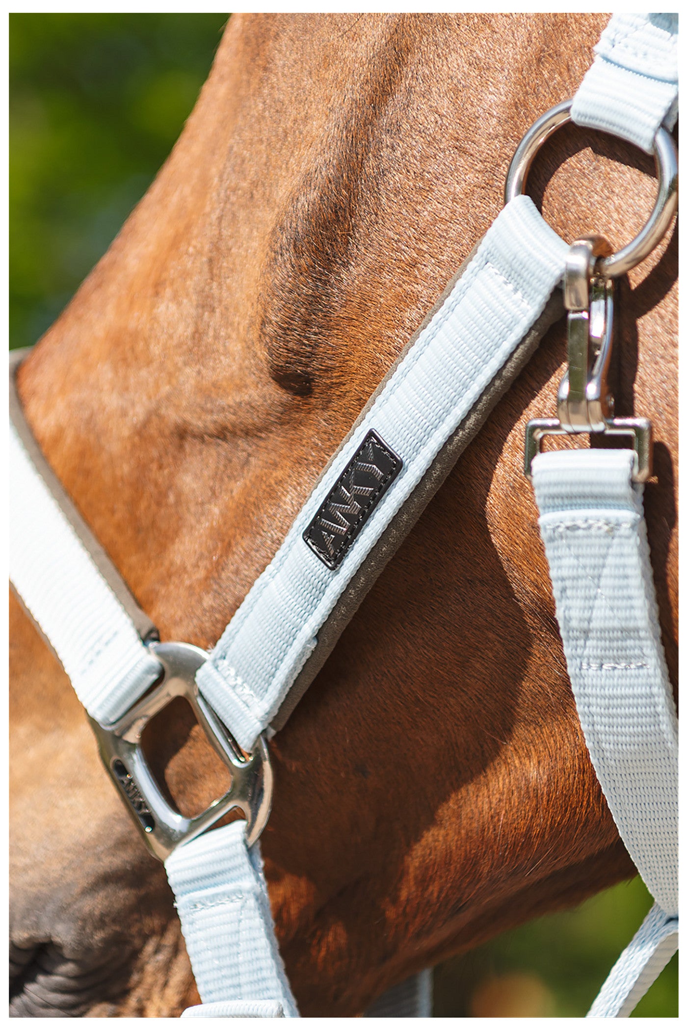 ANKY® Halter & Lead Rope