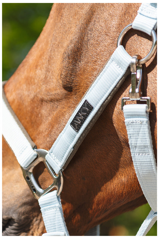 ANKY® Halter & Lead Rope