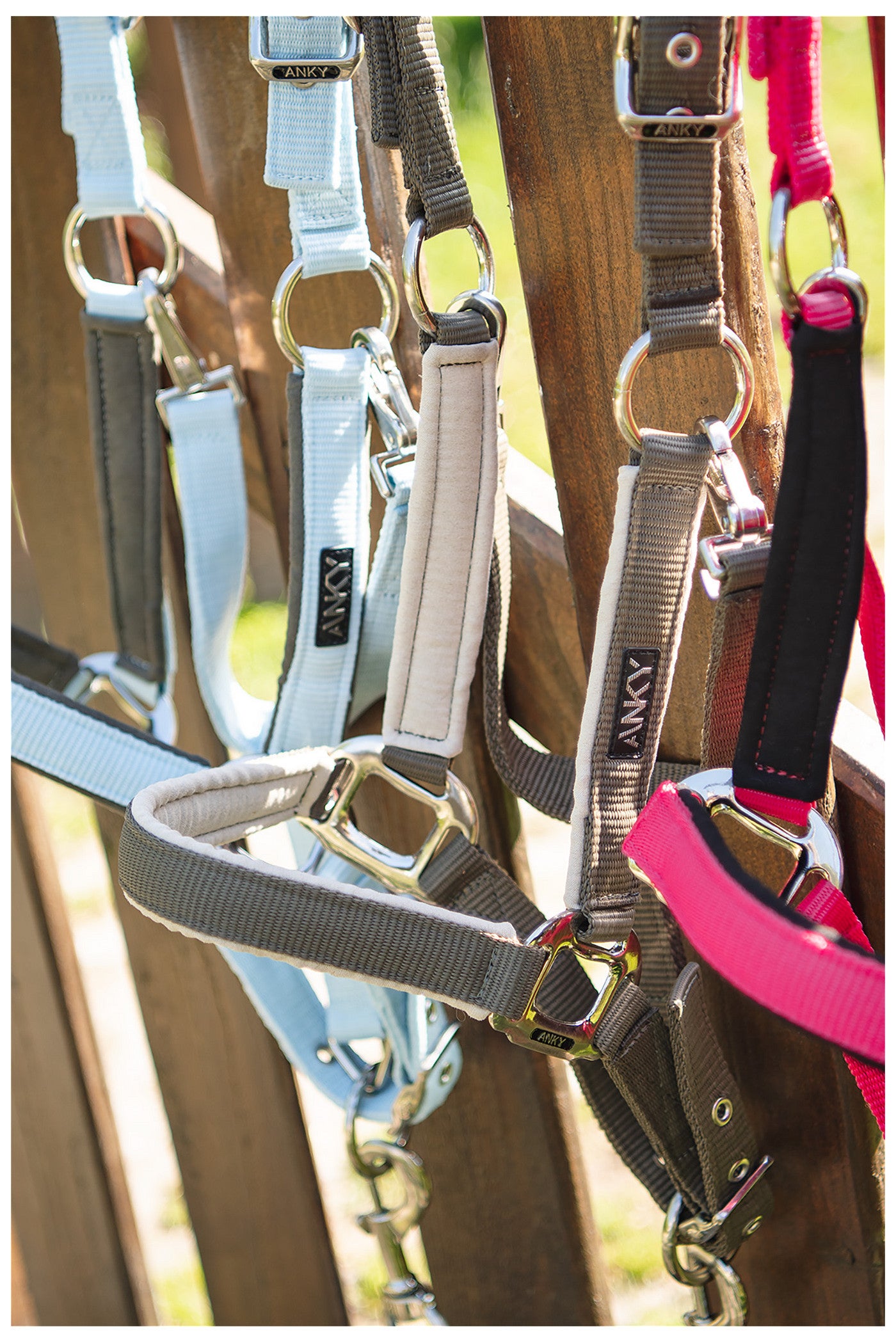ANKY® Halter & Lead Rope