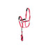 ANKY® Halter & Lead Rope