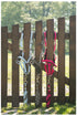ANKY® Halter & Lead Rope