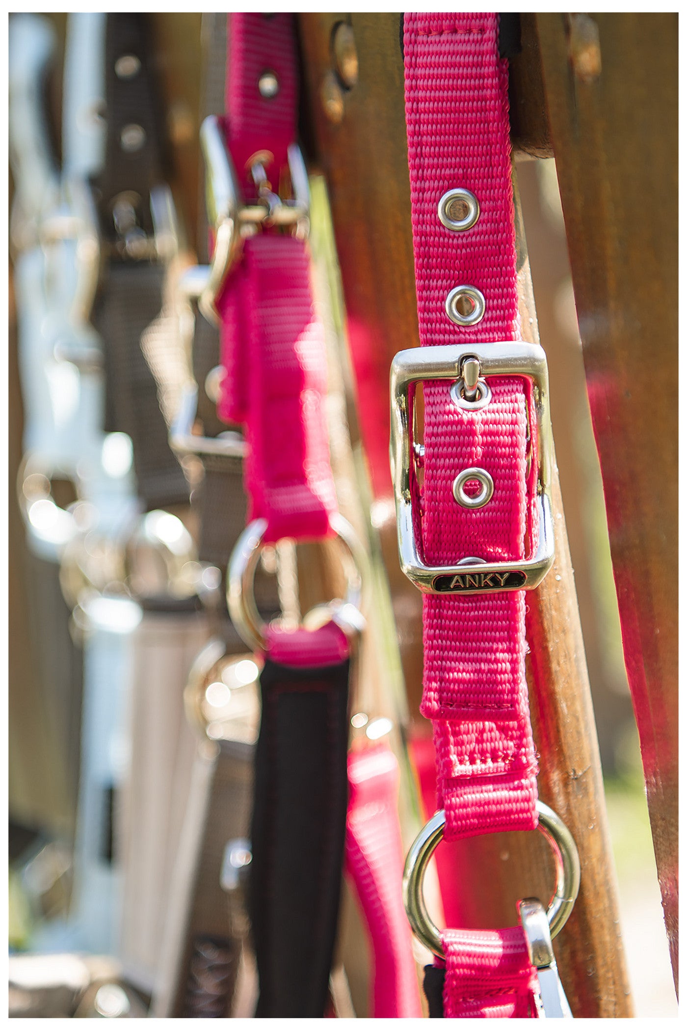 ANKY® Halter & Lead Rope