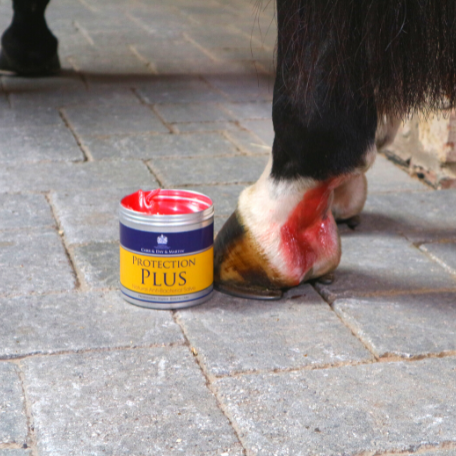 PROTECTION PLUS 500g