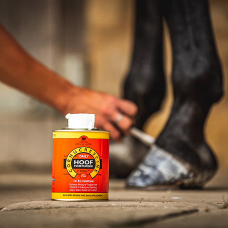 CORNUCRESCINE DAILY HOOF BARRIER 500ml