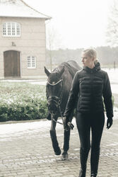PIKEUR QUILTED FLEXJACKET Steppjacke m. Kapuze