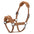 Halfter HVPTeddy