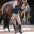 Reitlegging IRHComfi Sparks