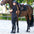 Reitlegging IRHLisam FullGrip