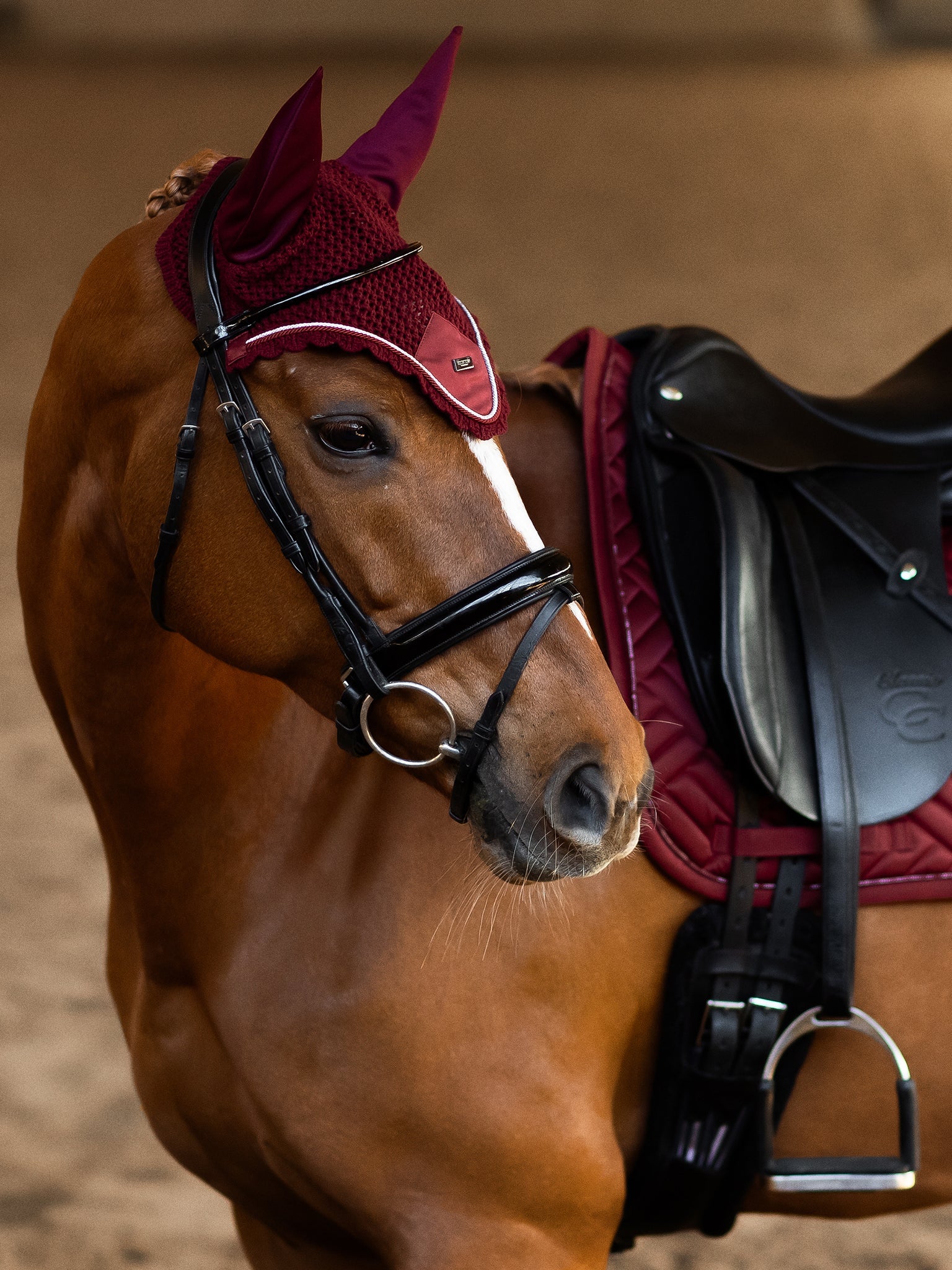 Fliegenhaube Bordeaux