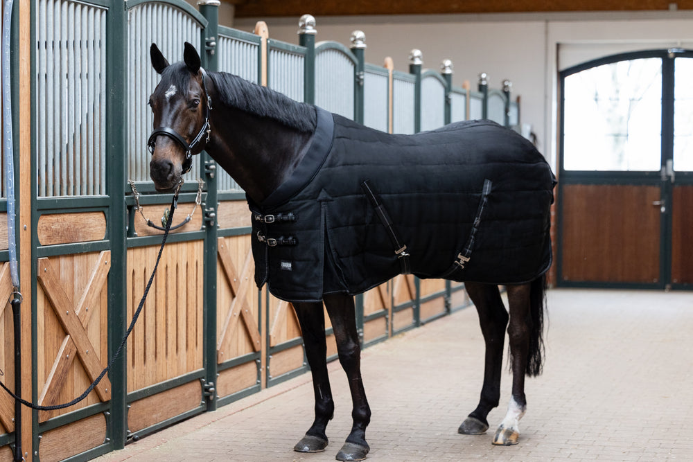 SIGMA STABLE 100 Stalldecke