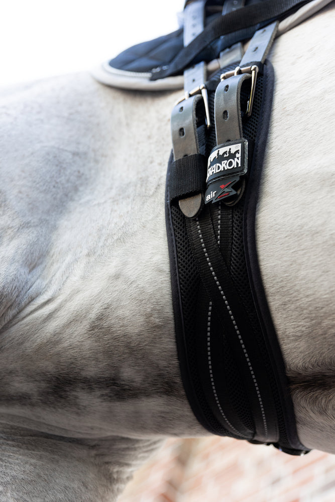 MESH DRESSAGE Sattelgurt