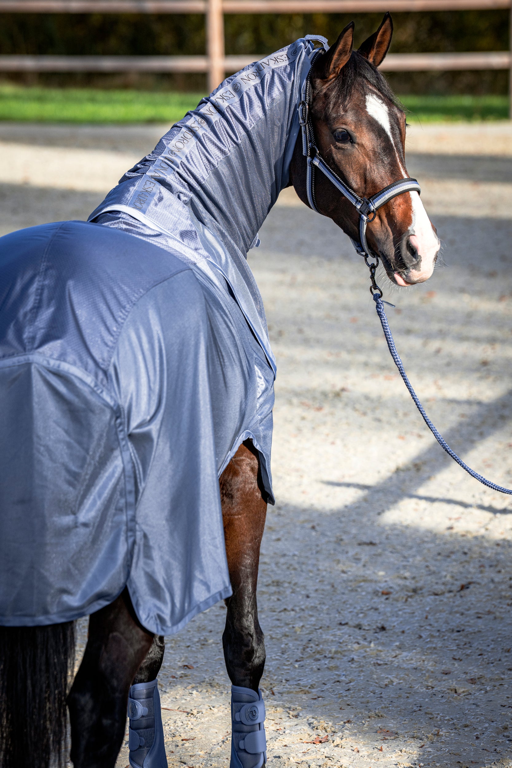 Eskadron Platinum 2026 Regenfliegendecke RAIN FLY DETACH-NECK