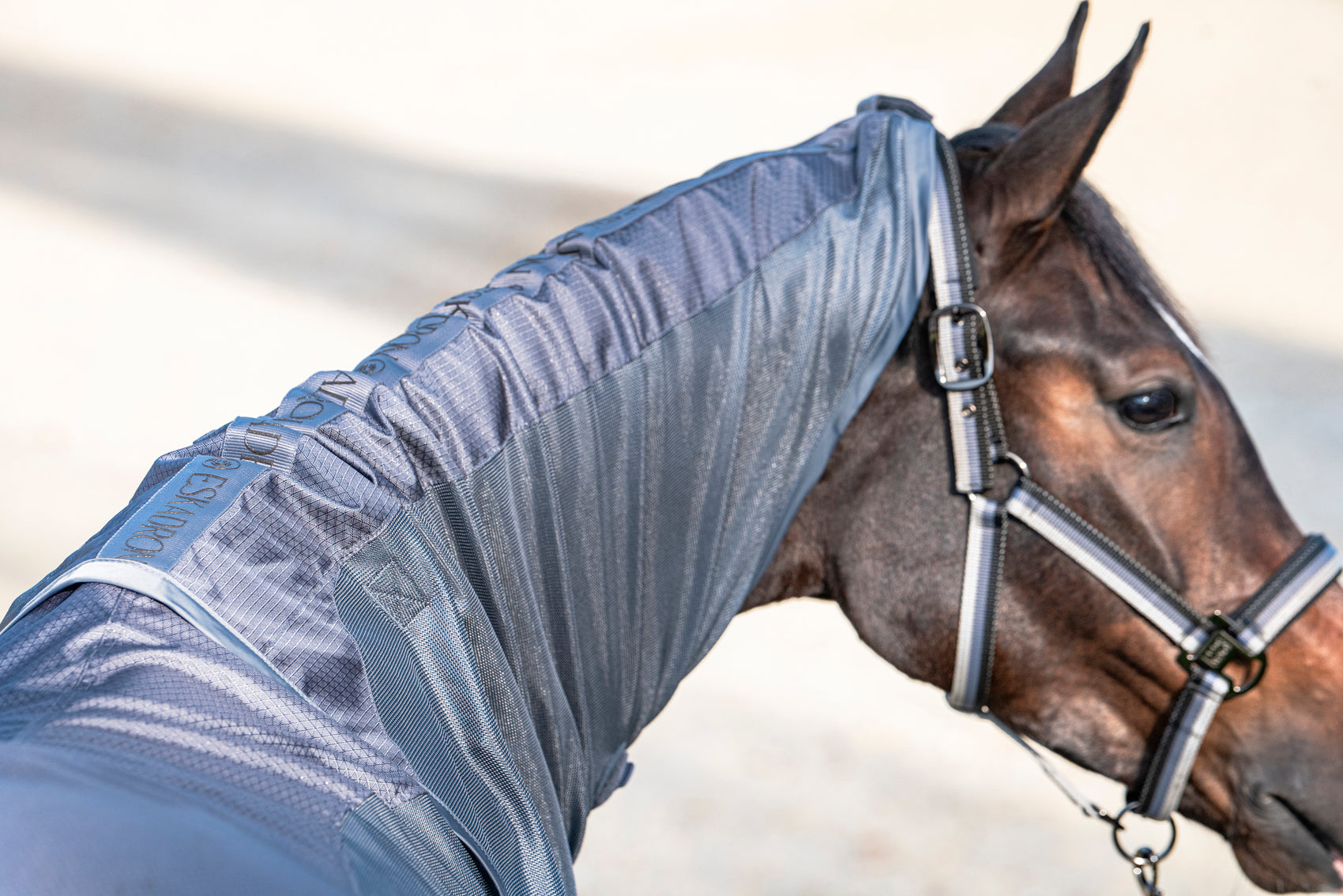 Eskadron Platinum 2026 Regenfliegendecke RAIN FLY DETACH-NECK