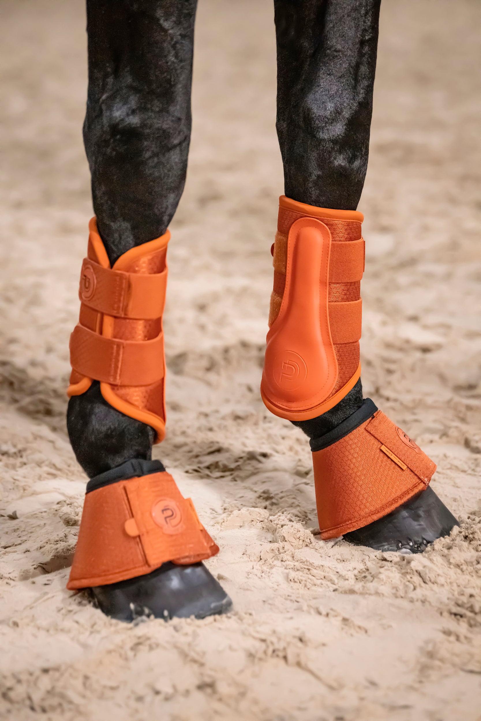 Eskadron Platinum 2026 Sprungglocken 1200D